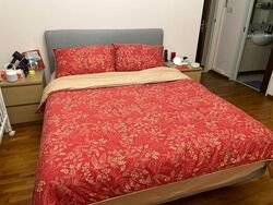 Blk 1C The Pinnacle@Duxton (Bukit Merah), HDB 5 Rooms #497054051